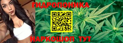 гидропоника Можга