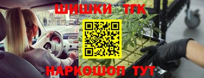 гидропоника Можга