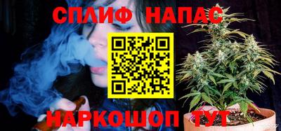 гидропоника Можга