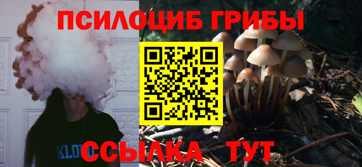Галлюциногенные грибы Psilocybine cubensis  Псилоцибиновые грибы Psilocybine cubensis  Вход с VPN  Солнечногорск 