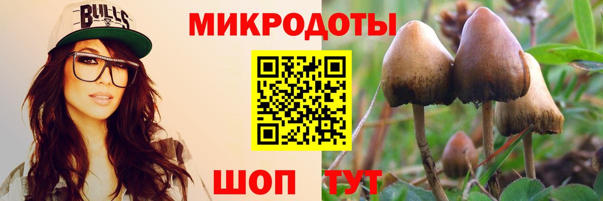Псилоцибиновые грибы Magic Shrooms Солнечногорск